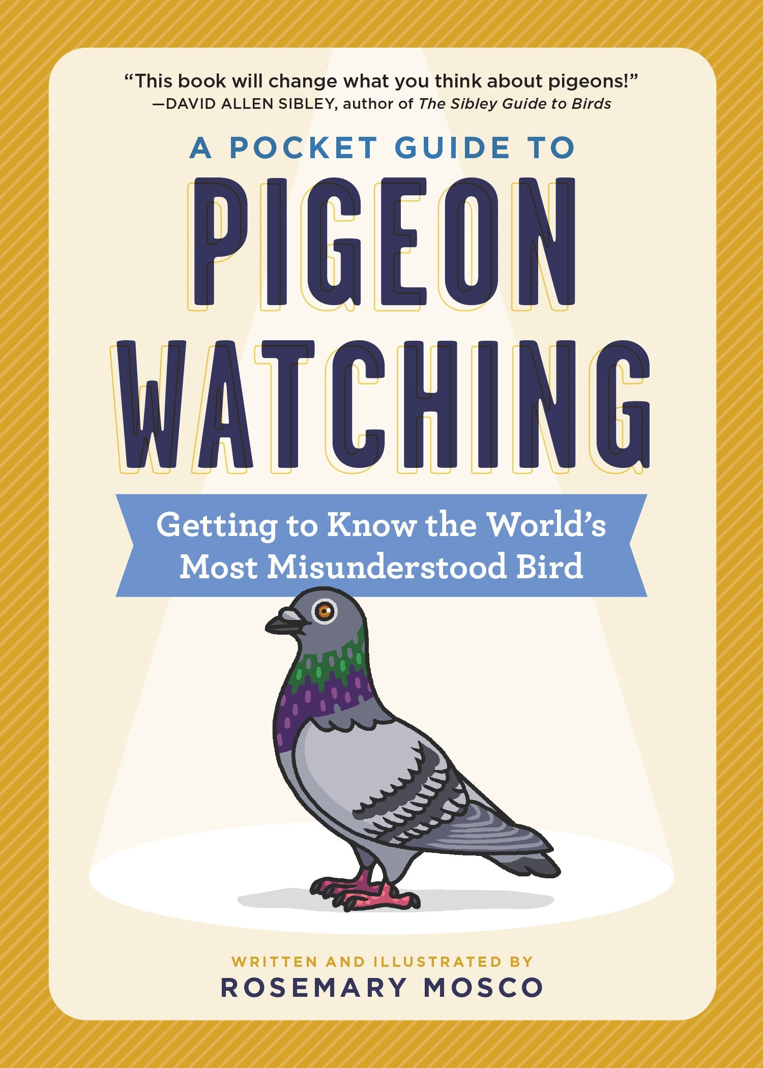 RP PIGEON - Buying Guide