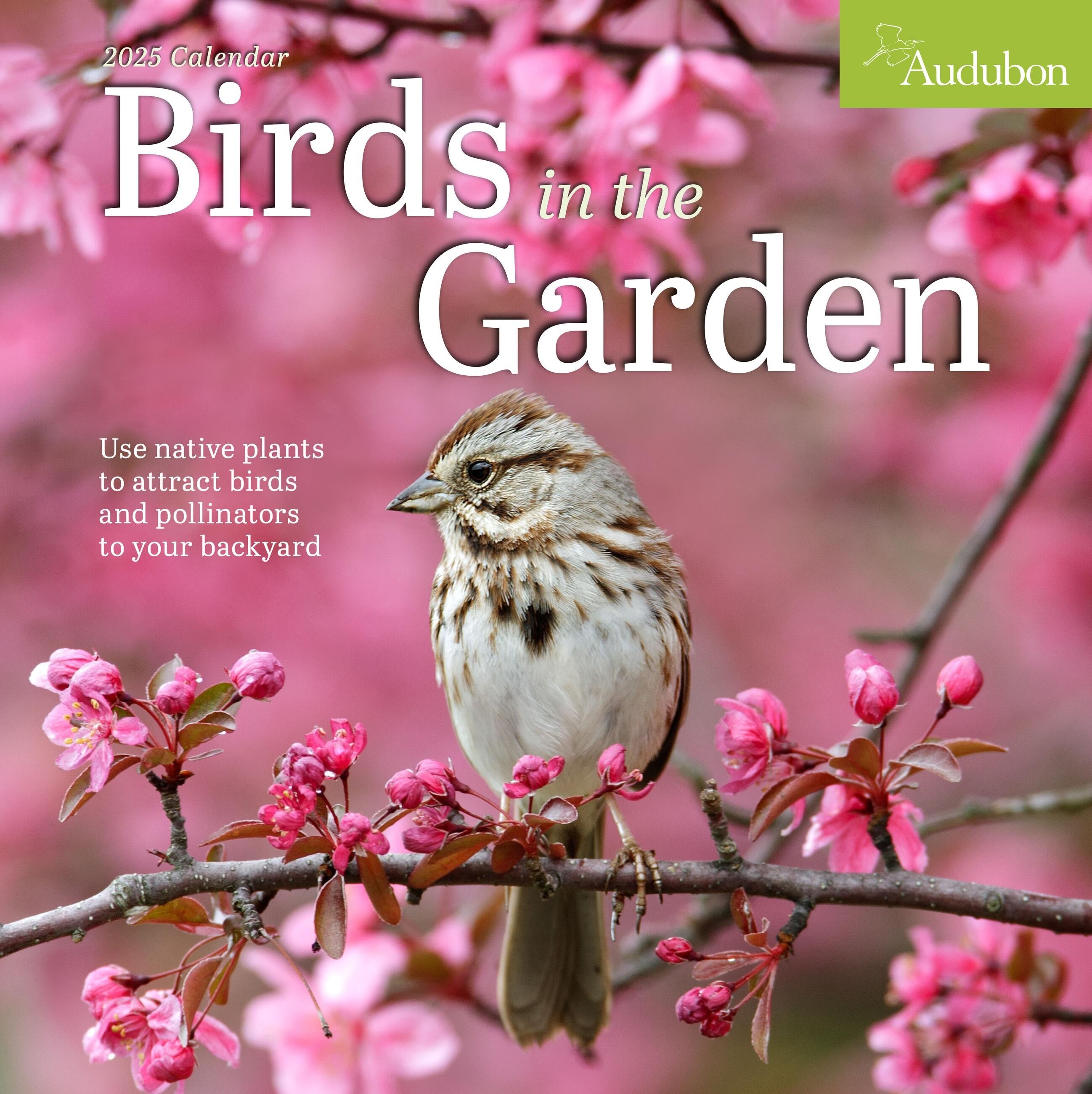 Audubon Birds in the Garden Wall Calendar 2025 PageADay