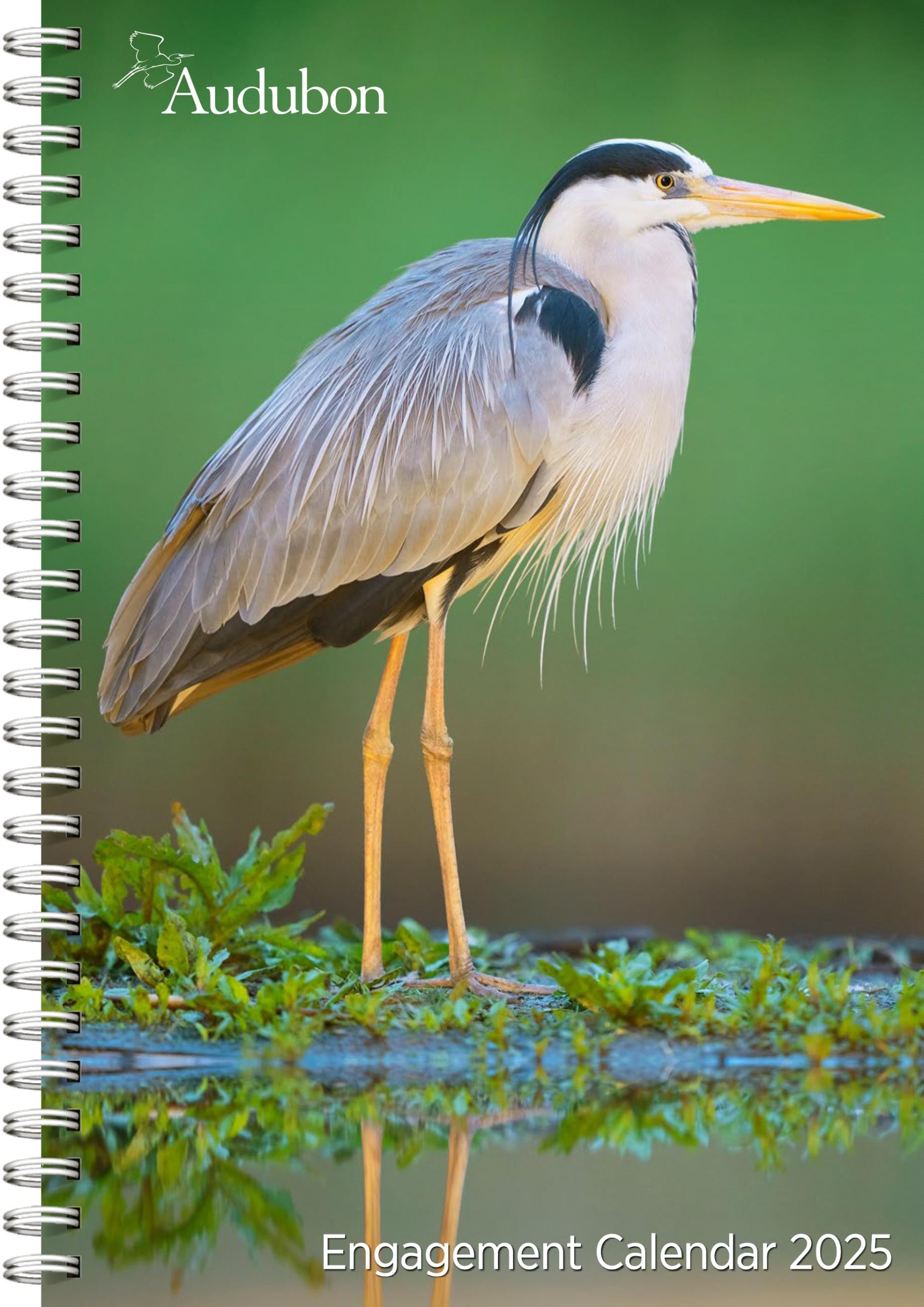 Audubon Page A Day Calendar 2025