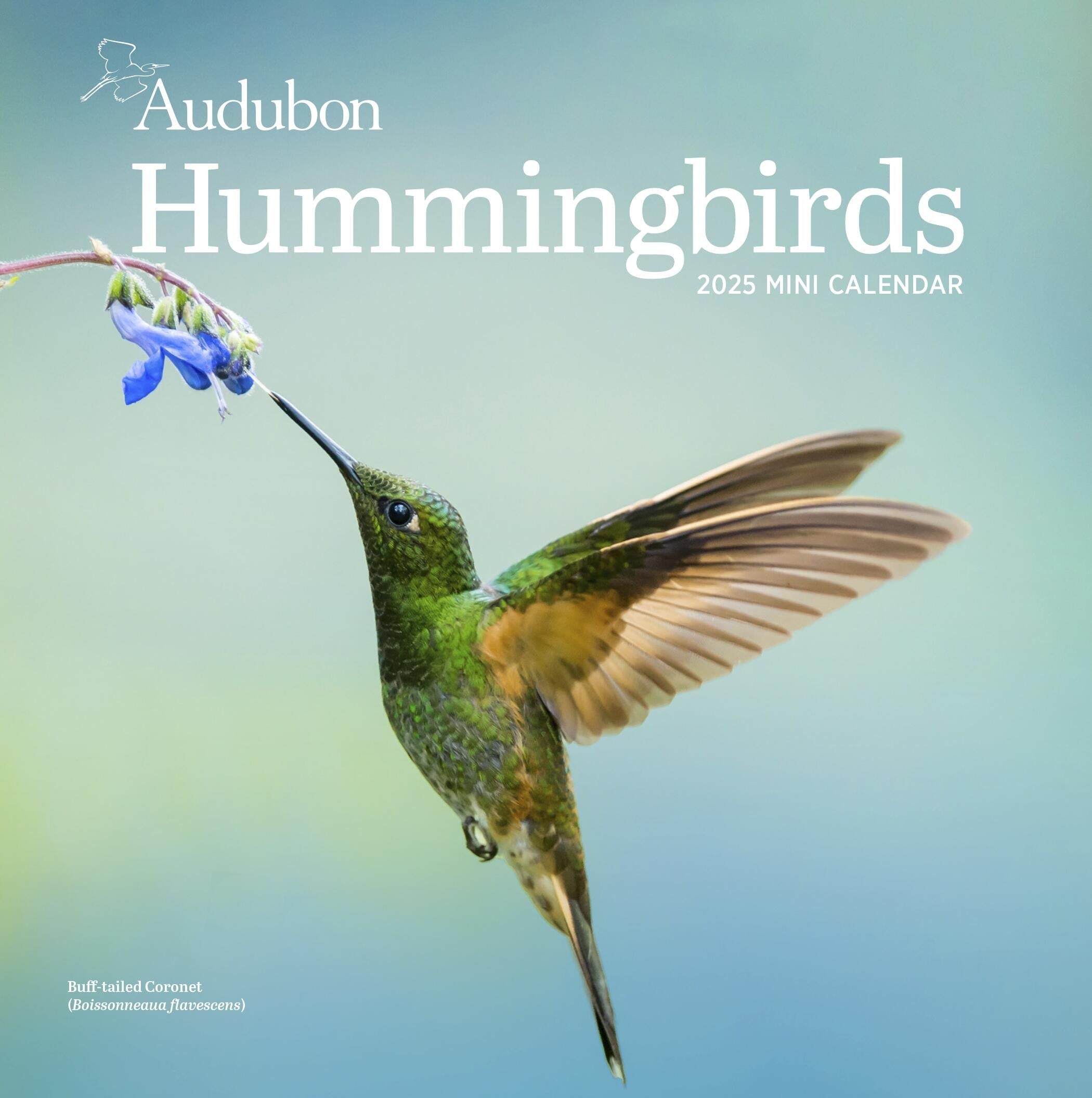 Audubon Hummingbirds Mini Wall Calendar 2025 PageADay