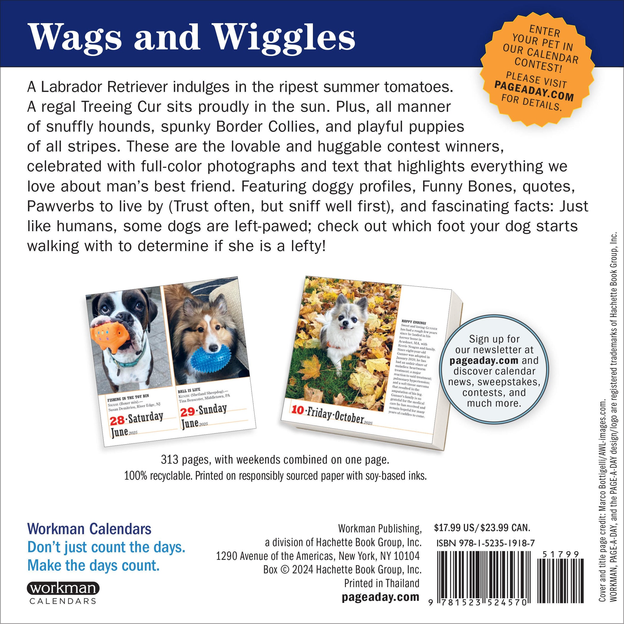 365 Dogs PageADay® Calendar 2025