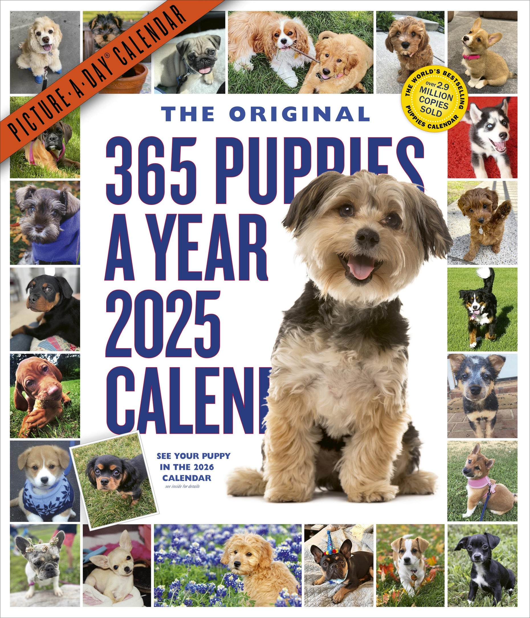 365 PuppiesAYear PictureADay® Wall Calendar 2025 PageADay