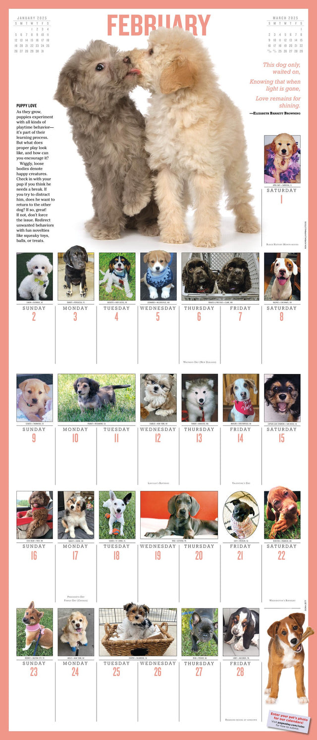 365 PuppiesAYear PictureADay® Wall Calendar 2025 PageADay