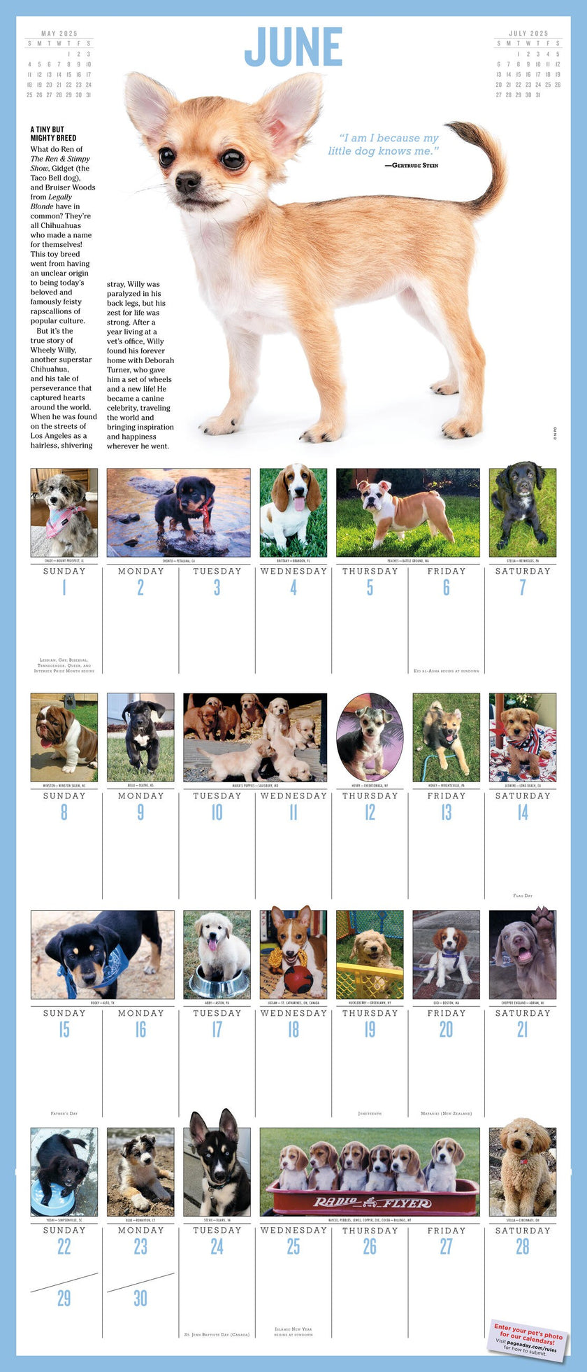 365 PuppiesAYear PictureADay® Wall Calendar 2025 PageADay