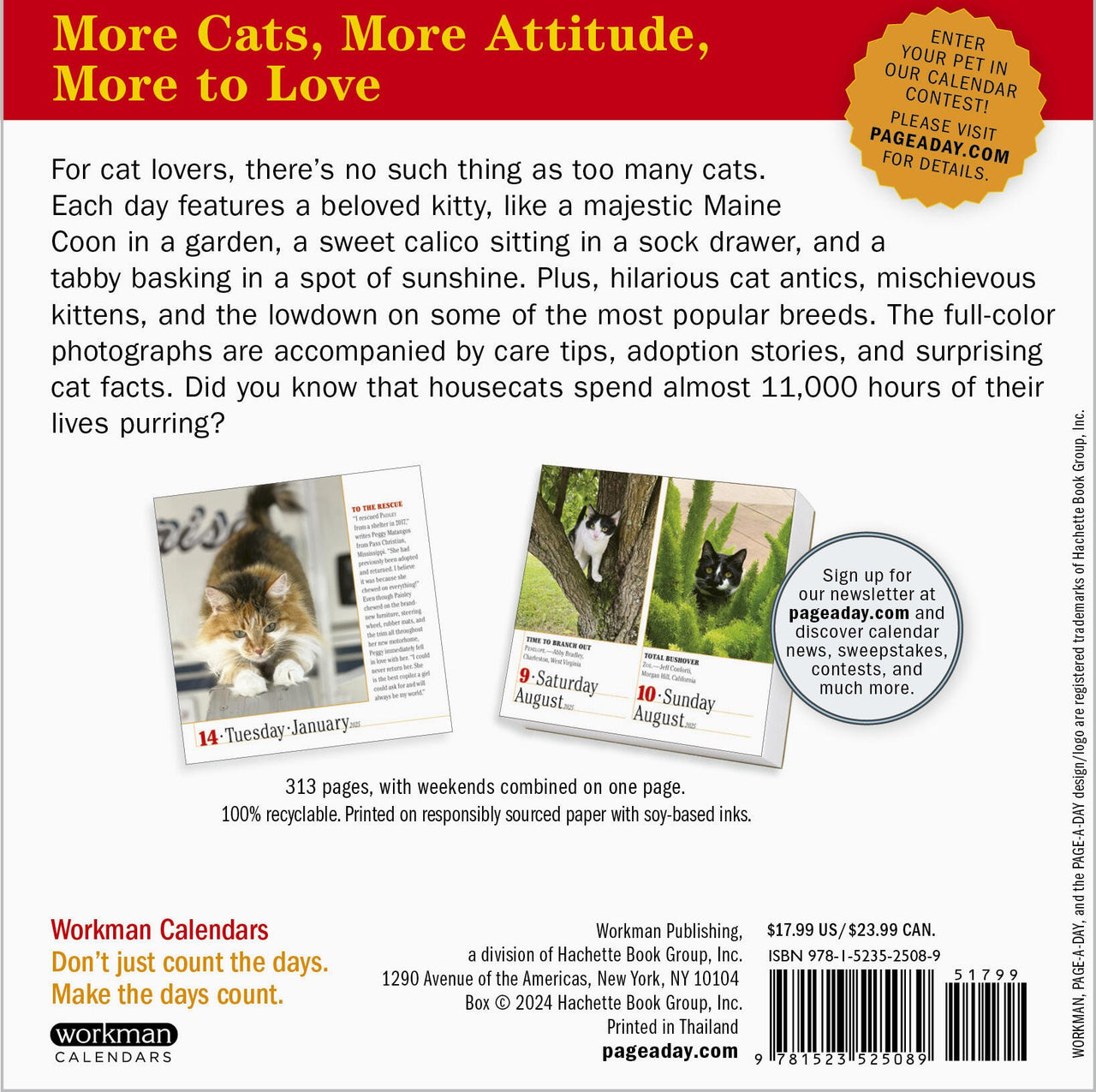 365 Cats PageADay® Calendar 2025