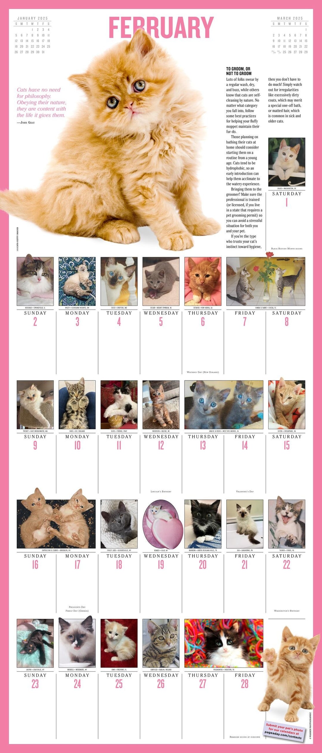 365 KittensAYear PictureADay® Wall Calendar 2025 PageADay