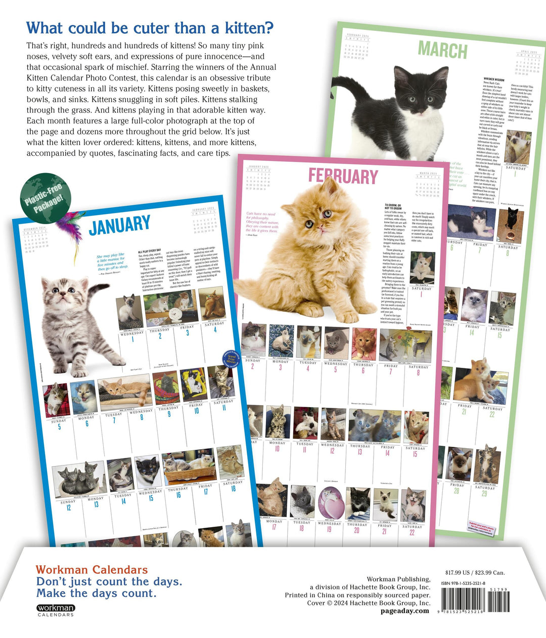 365 KittensAYear PictureADay® Wall Calendar 2025 PageADay