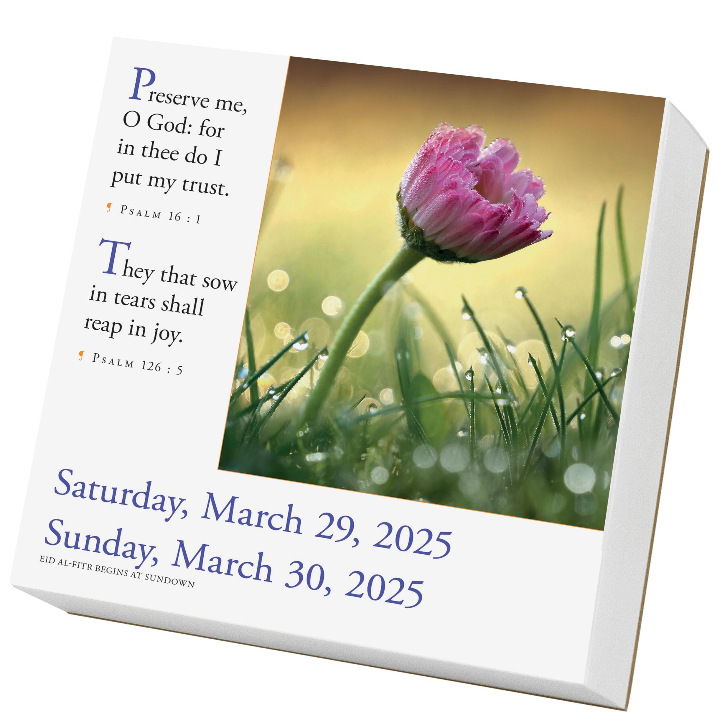 365 Bible VersesAYear PageADay® Calendar 2025