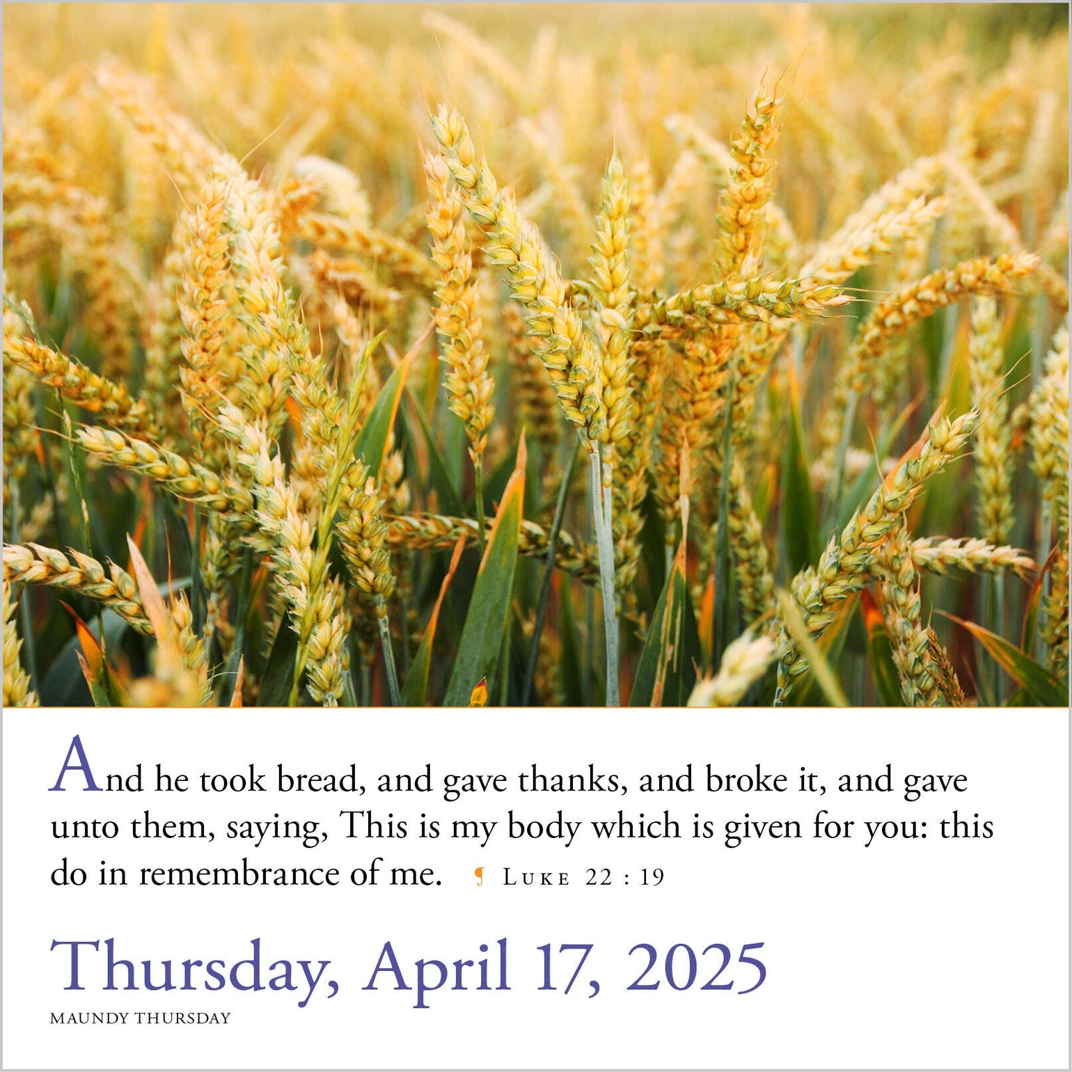 365 Bible VersesAYear PageADay® Calendar 2025