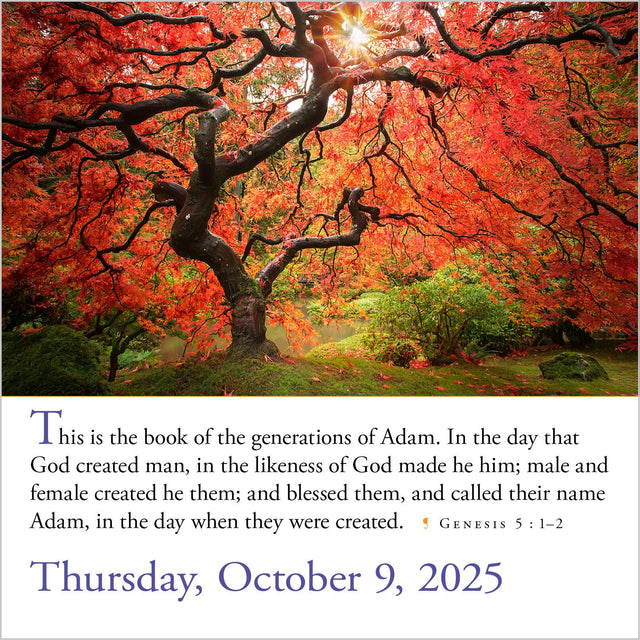 365 Bible VersesAYear PageADay® Calendar 2025