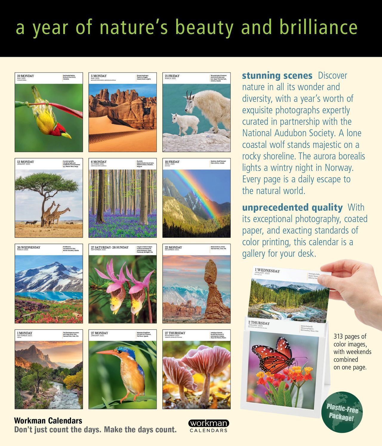 Audubon Nature PageADay® Gallery Calendar 2025