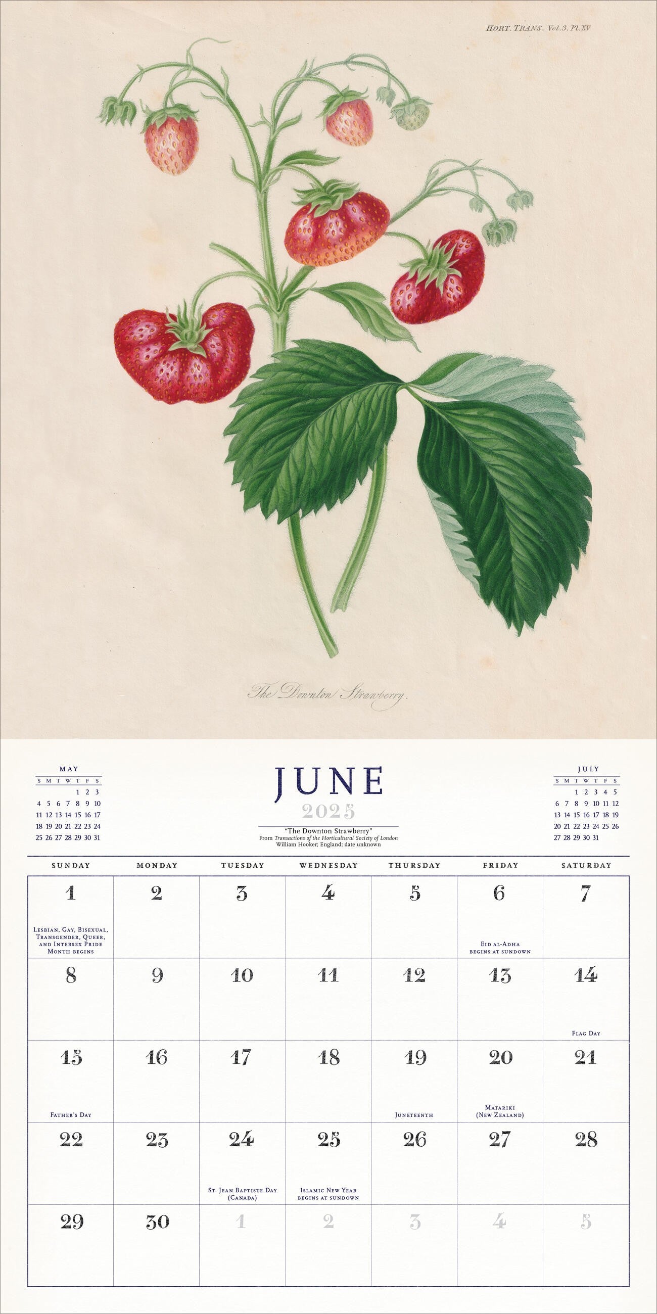 The World Of John Derian Wall Calendar 2025 Page A Day
