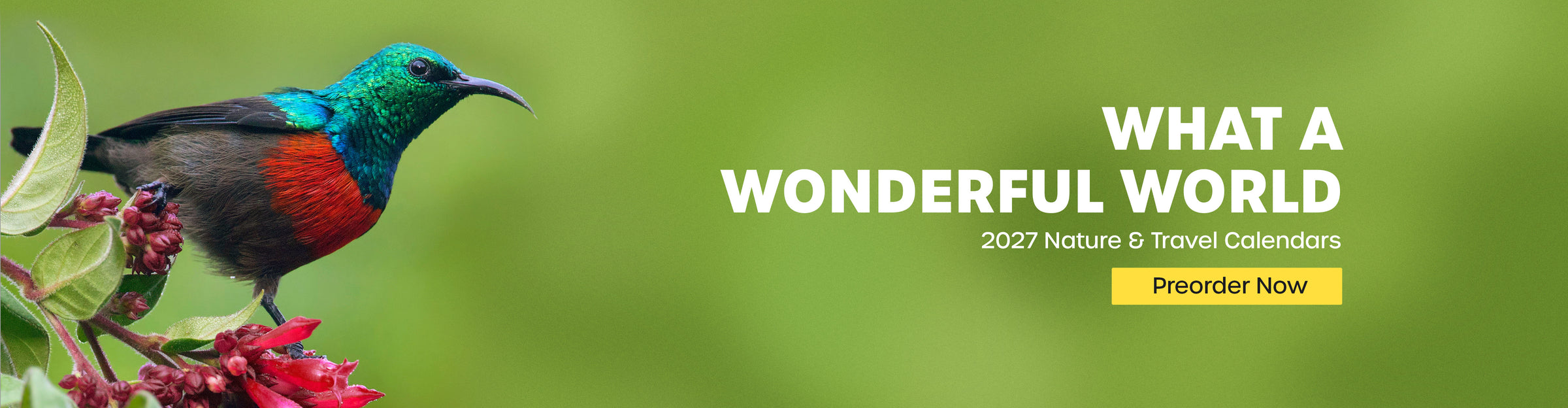 Travel & Nature Calendars 