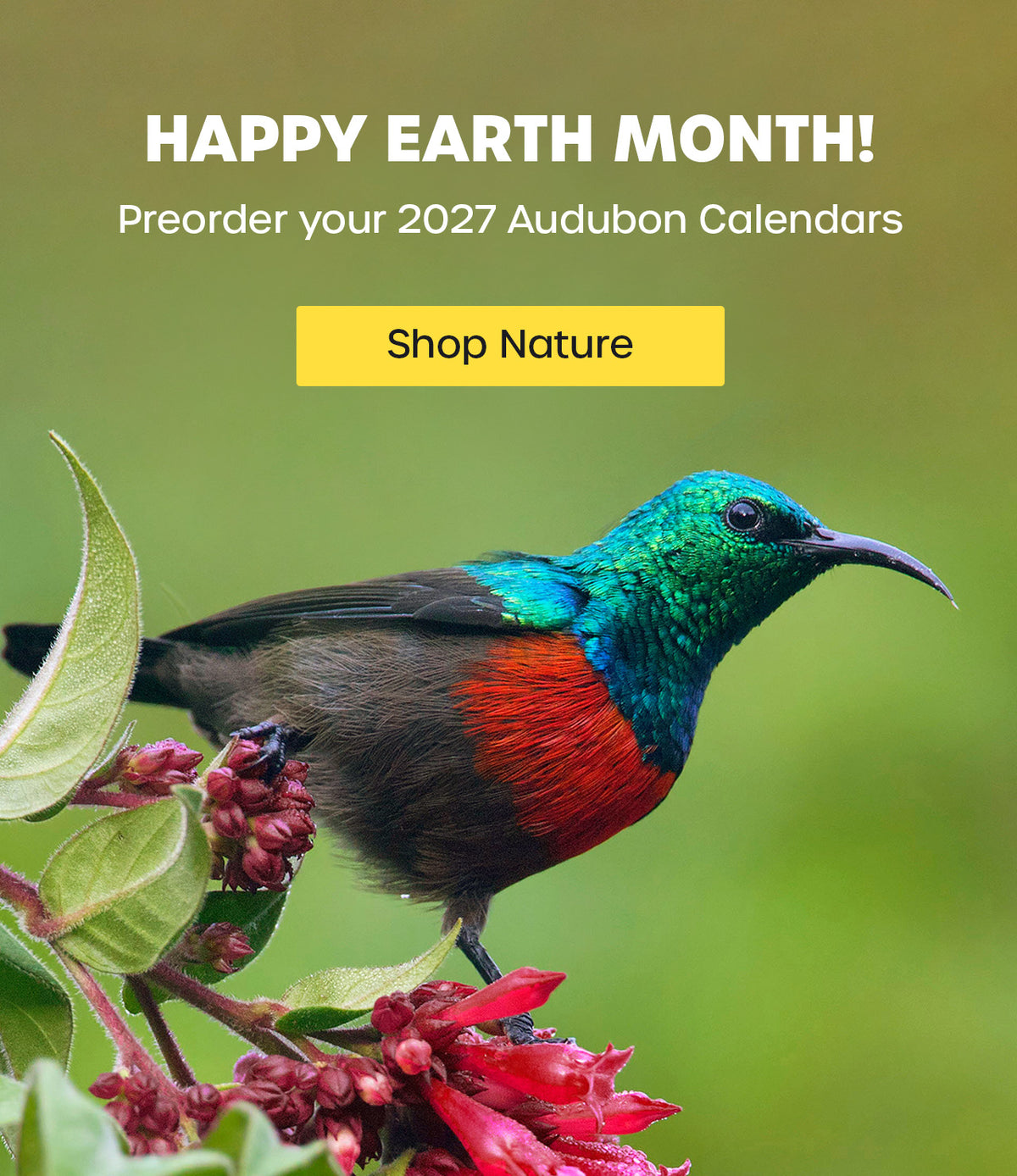 Audubon Calendars Preorder