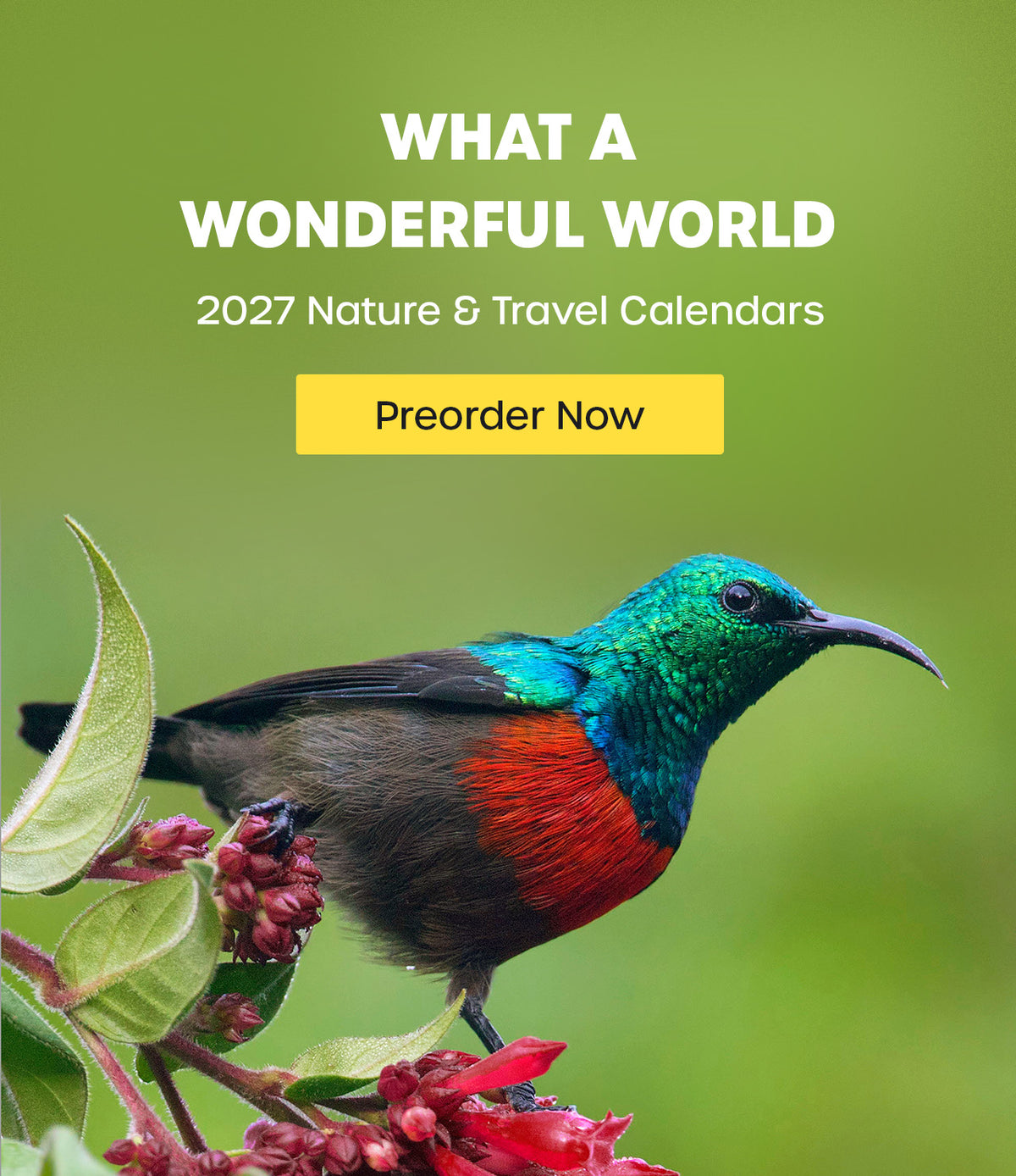 Travel & Nature Calendars 