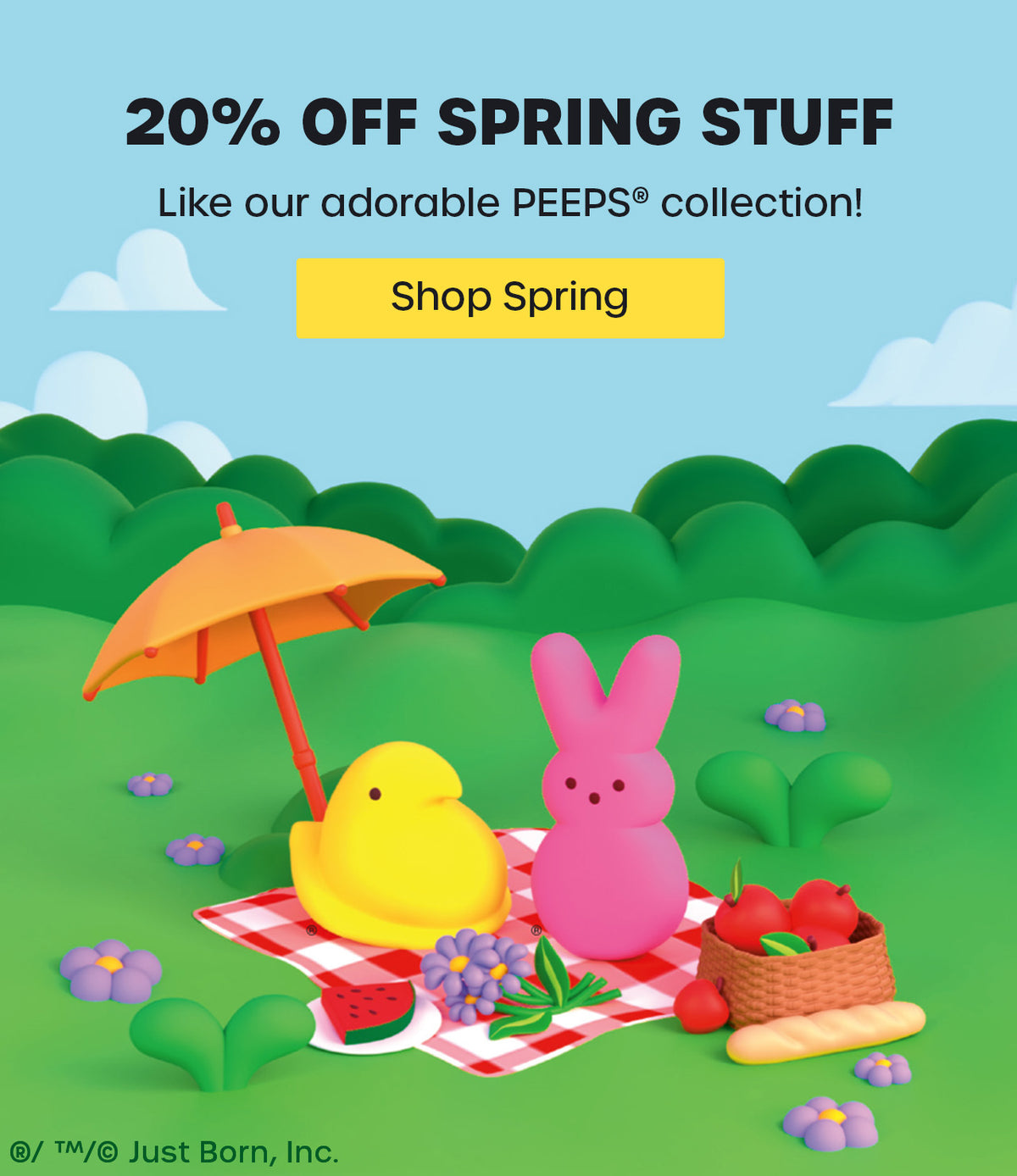 Spring Sale! 20% Off!