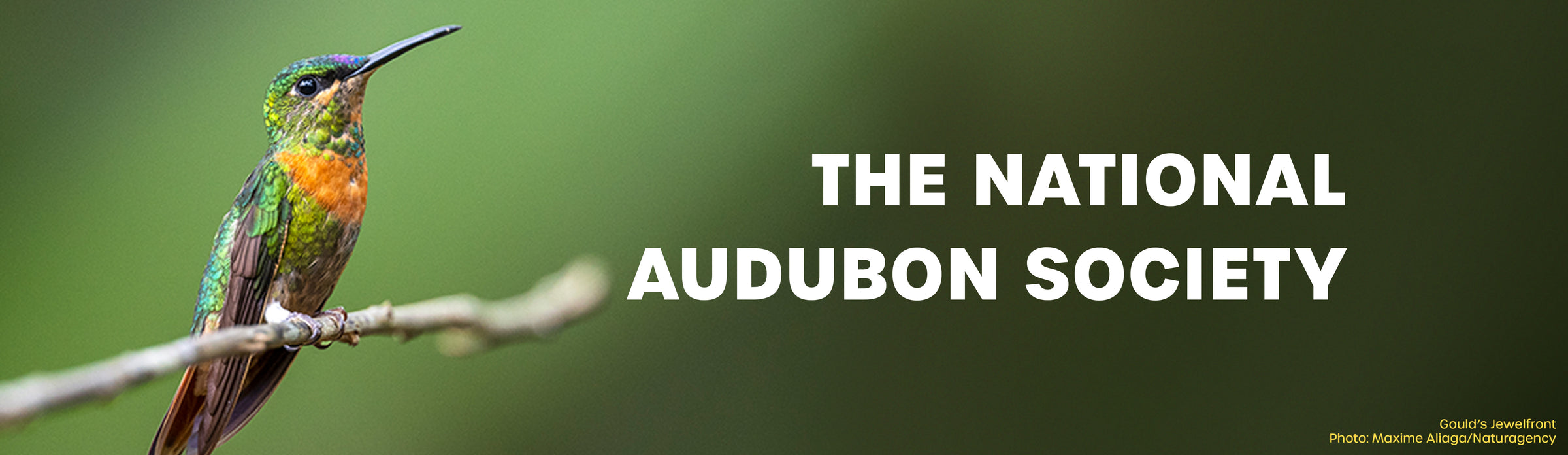 National Audubon Society