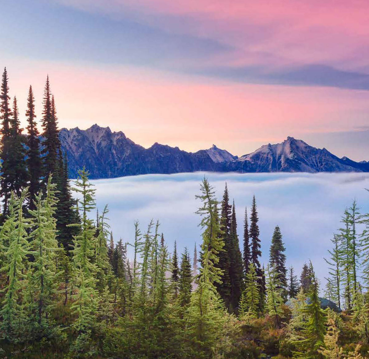 Photo Cascadia