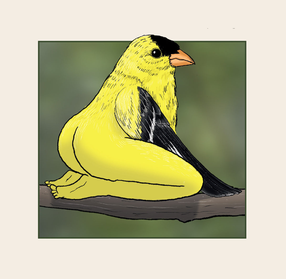 Extremely Accurate Birds by Tommy Siegel